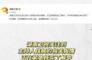 吃瓜娱乐在线下载,揭秘热门综艺幕后故事